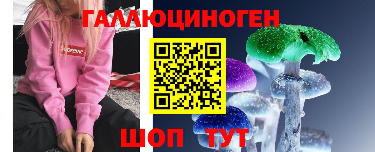 Богданович  Галлюциногенные грибы Magic Shrooms  Псилоцибиновые грибы Magic Shrooms  Вход с VPN 